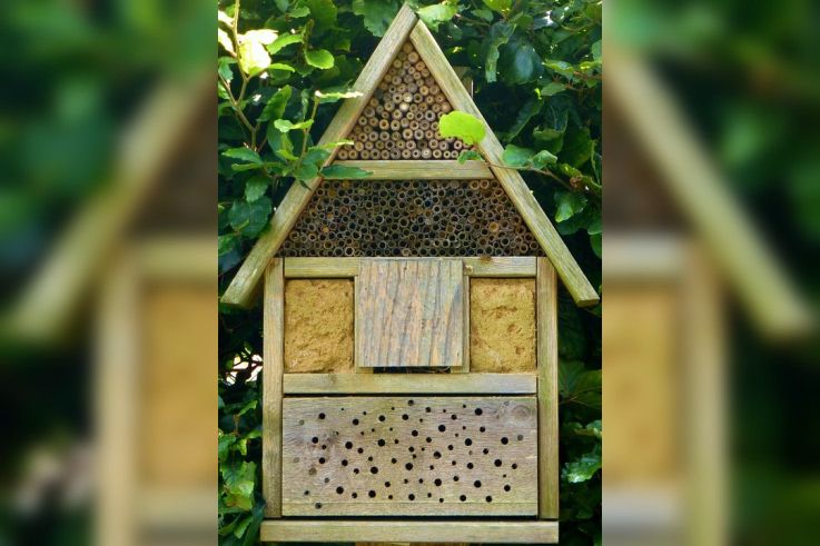 Pink Lady® au Salon de l'Agriculture : Gagnez vos places !