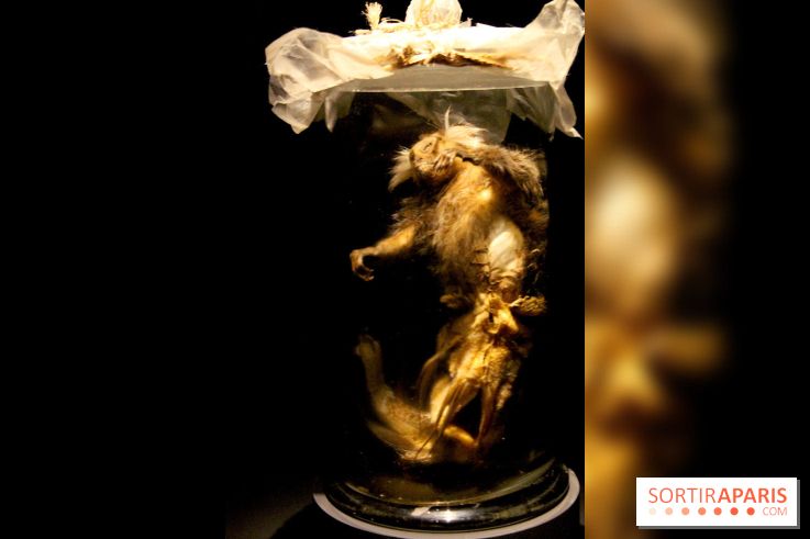 Persona, l'exposition terrifiante au Musée du Quai Branly