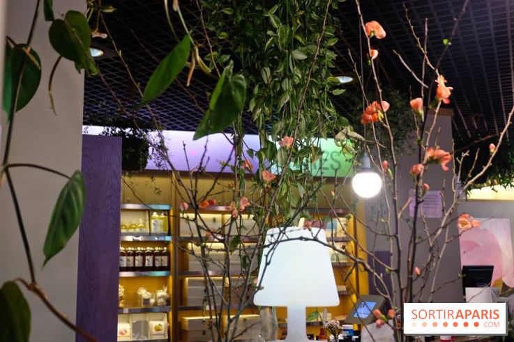 Nouveautés Aroma-Zone