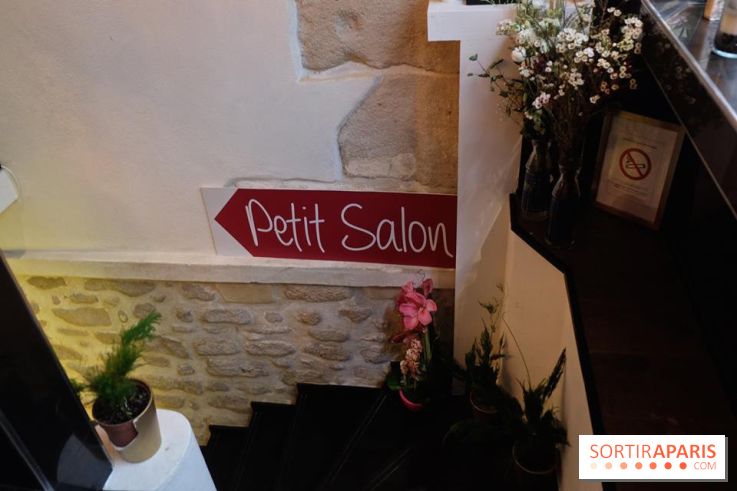 LSD : Les Souris Dansent