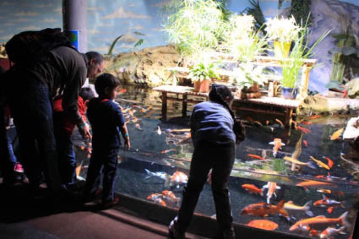 Plankton Invasion à l'Aquarium de Paris