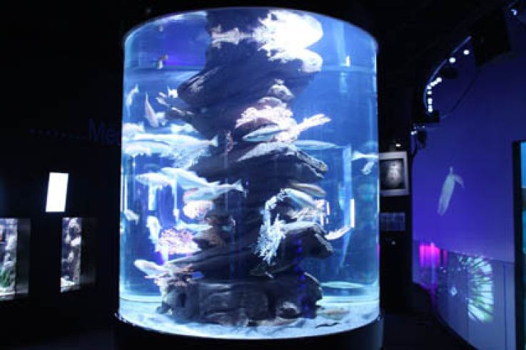 Plankton Invasion à l'Aquarium de Paris