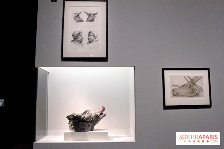 Carambolages au Grand Palais