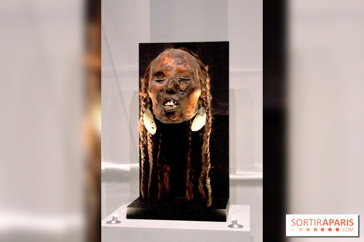 Carambolages au Grand Palais