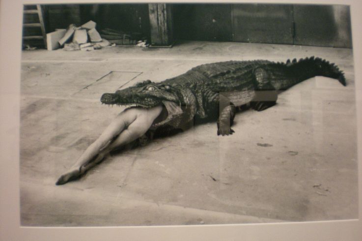 Helmut Newton | Crocodile, ballet de Pina Bausch