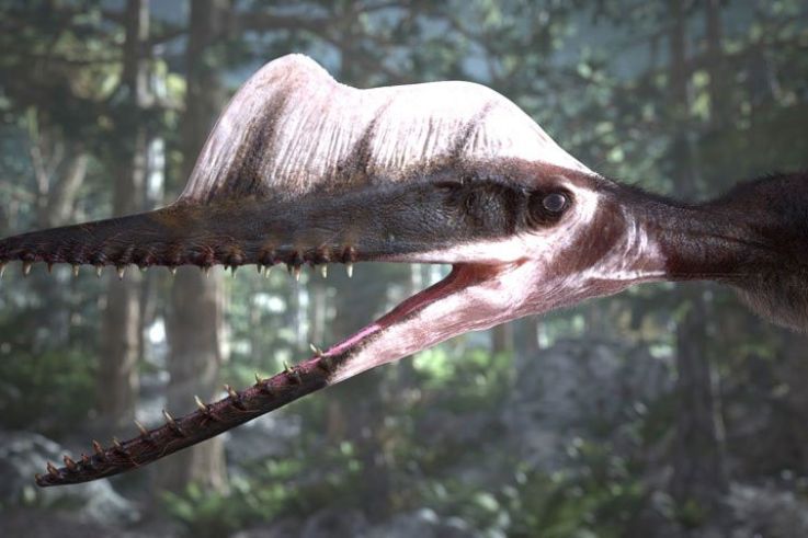 Ptérodactyles 3D à la Géode