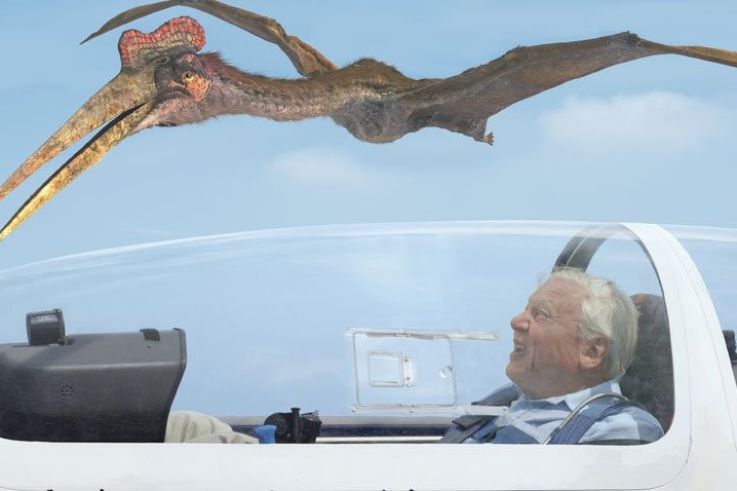 Ptérodactyles 3D à la Géode