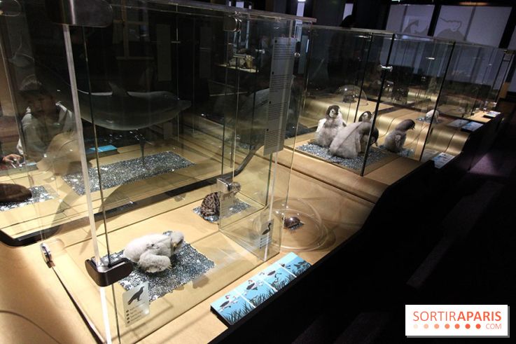 Exposition BéBés animaux à la Cité des Sciences, les photos