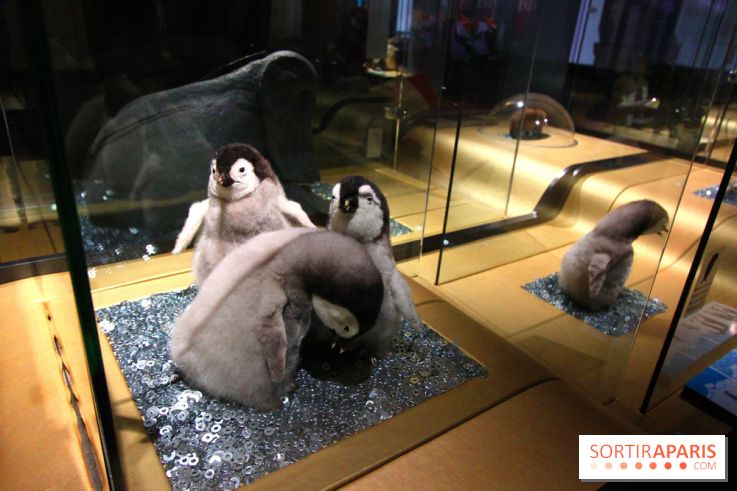Exposition BéBés animaux à la Cité des Sciences, les photos