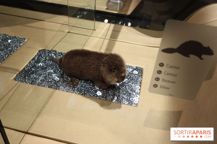 Exposition BéBés animaux à la Cité des Sciences, les photos