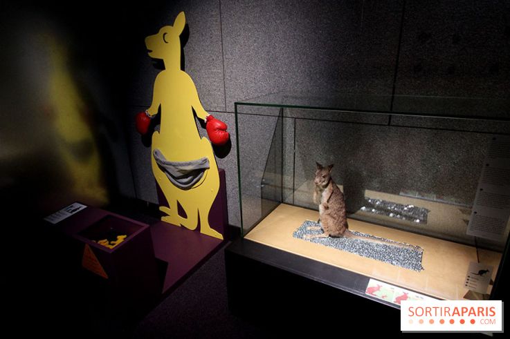 Exposition BéBés animaux à la Cité des Sciences, les photos