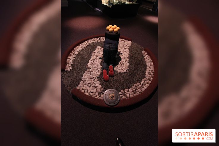 Exposition BéBés animaux à la Cité des Sciences, les photos