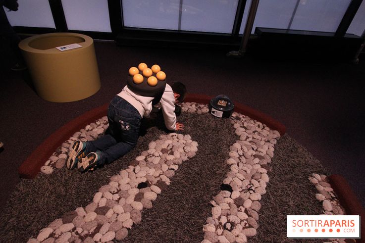 Exposition BéBés animaux à la Cité des Sciences, les photos