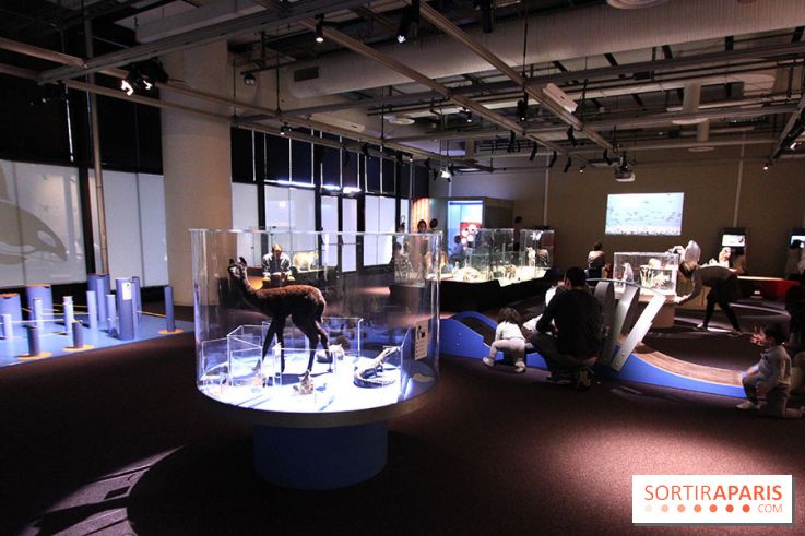 Exposition BéBés animaux à la Cité des Sciences, les photos