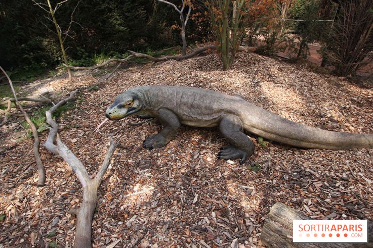 Le Labyrinthe de Thoiry