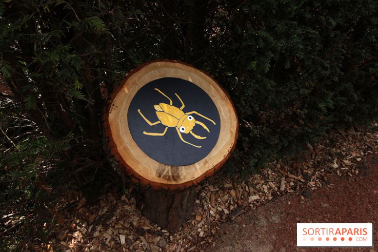 Le Labyrinthe de Thoiry