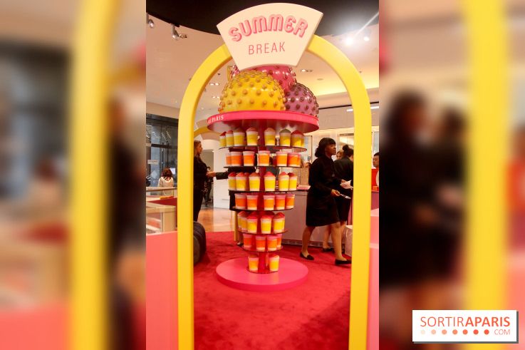 Bar à glaces Pierre Hermé