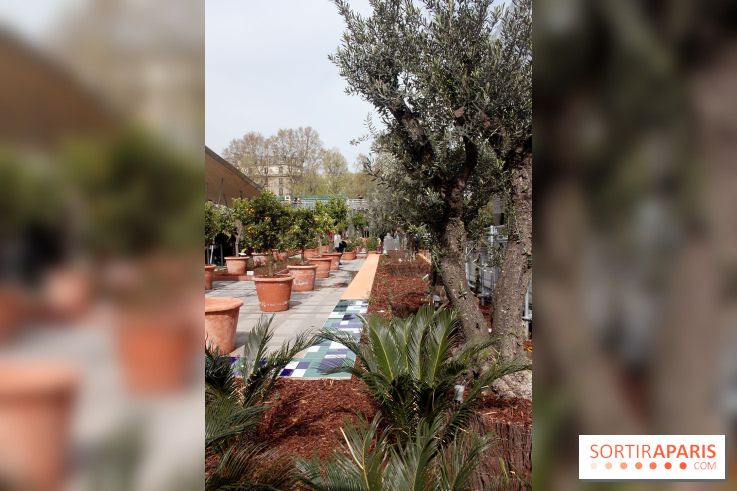 Jardin d'Orient à l'Institut du Monde Arabe