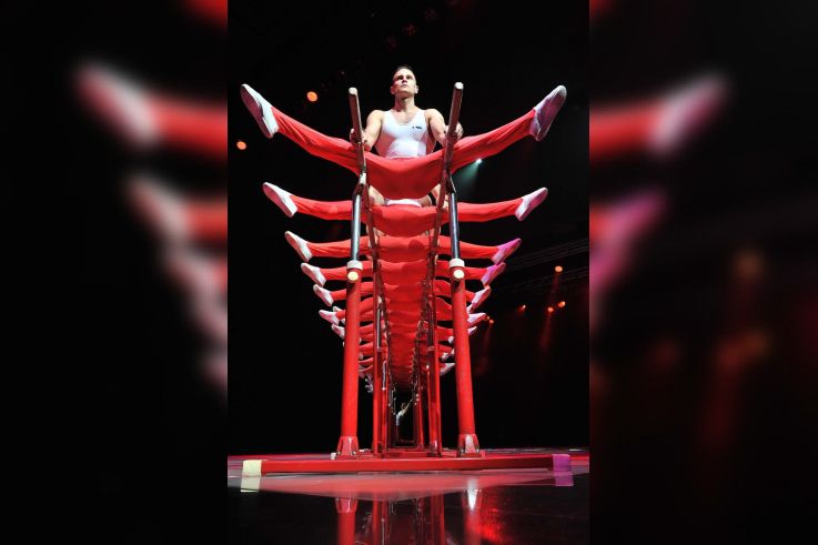 Les Virtuoses du Feu