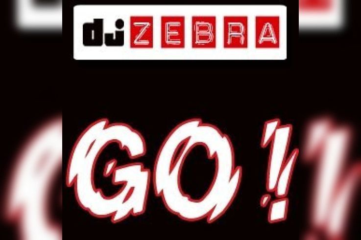 Soirée, Paris, Zebra, Elysée Montmartre, Bootleg, Mash up