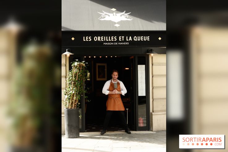 Les Oreilles et la Queue