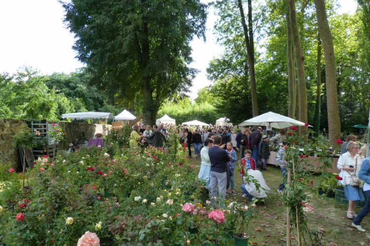 Fleurs en Seine 2016 : les plantes font salon aux Mureaux
