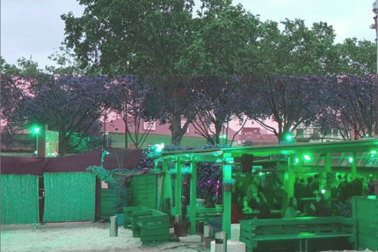 Vide-dressing Violette Sauvage à la Plage du Glazart