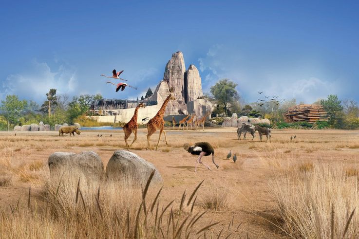 La Fête du Cinéma - Le Parc Zoologique de Paris fête le cinéma en plein air 