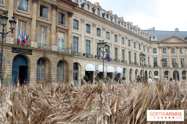 Gad Weil installe son Champ de Blés Place Vendôme