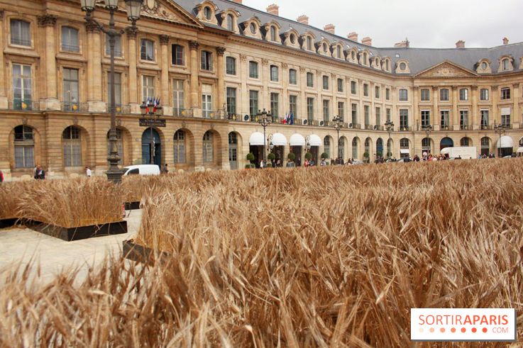 Gad Weil installe son Champ de Blés Place Vendôme
