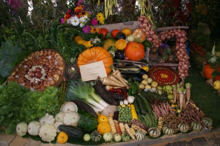 La Saint Félicien à Dourdan, un weekend d'animations gratuites autour du jardin 