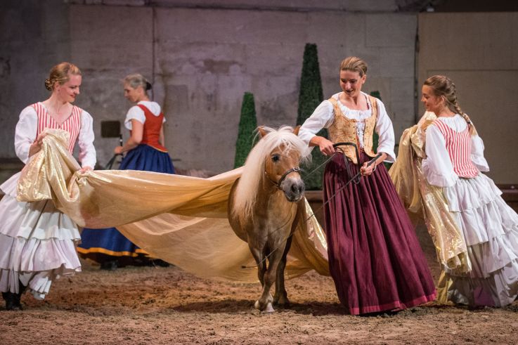 Peau d'âne au domaine de Chantilly
