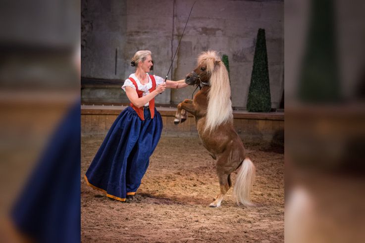 Peau d'âne au domaine de Chantilly