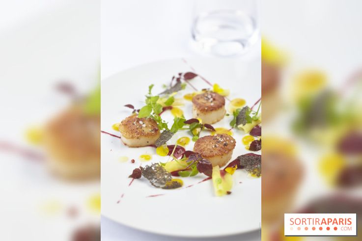 Le restaurant de la Maison de l'Amérique Latine se rénove