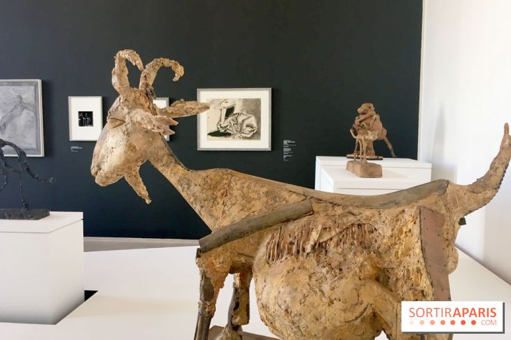 Picasso-Giacometto au Musée Picasso