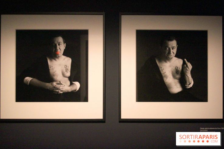 Coluche, l'exposition à l'Hôtel de Ville