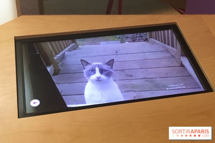 Viral, l'expo au Palais de la Découverte