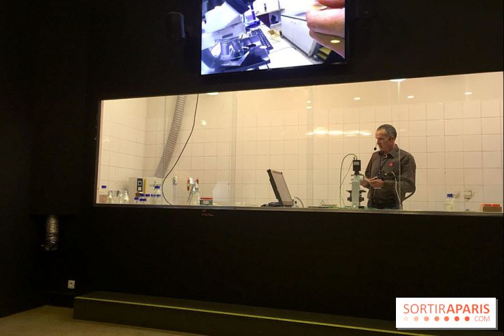 Viral, l'expo au Palais de la Découverte