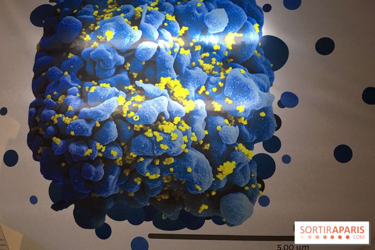 Viral, l'expo au Palais de la Découverte