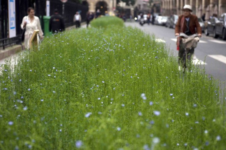2ème édition de la Campagne J'aime le Lin !