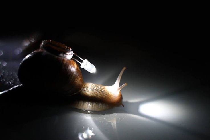 Exposition Les faits du hasard au Centquatre