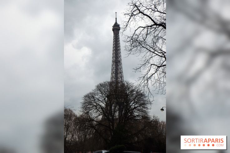 Aquarium de Paris Décembre 2016