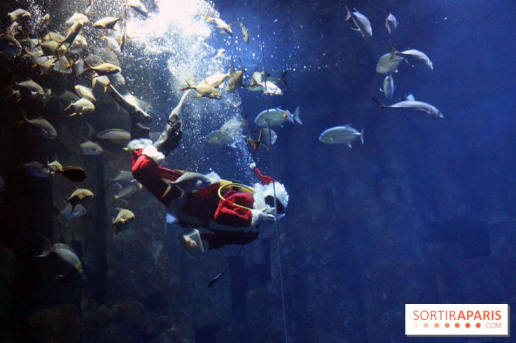Aquarium de Paris Décembre 2016