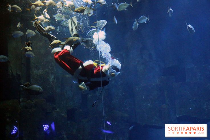 Aquarium de Paris Décembre 2016