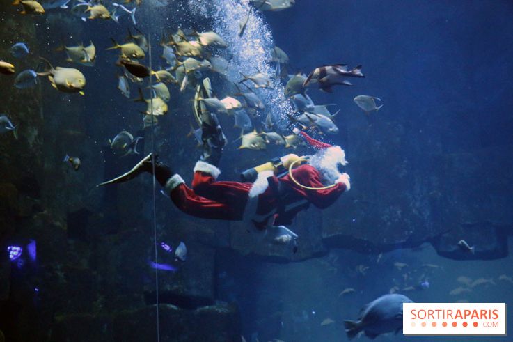 Aquarium de Paris Décembre 2016
