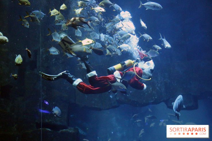 Aquarium de Paris Décembre 2016
