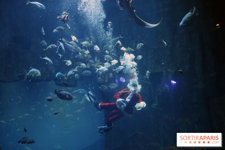 Aquarium de Paris Décembre 2016