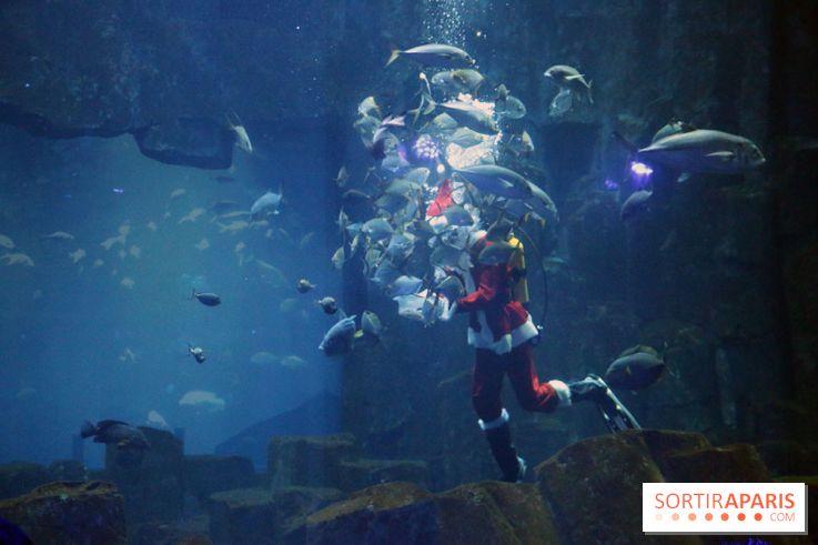 Aquarium de Paris Décembre 2016