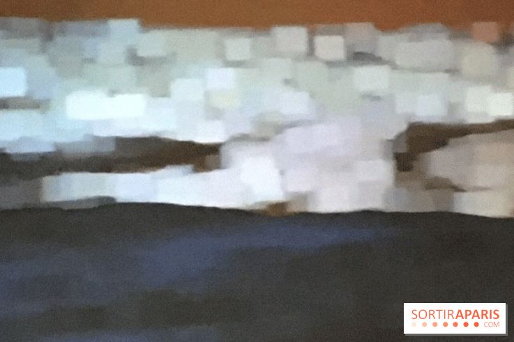 Peter Campus, l'expérience visuelle au Jeu de Paume