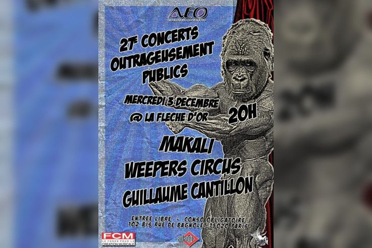 Concerts, Paris, OUrtrageusement Publics, Fleche d'Or, Guillaume Cantillon, Kaolin, Weepers Circus, Makali